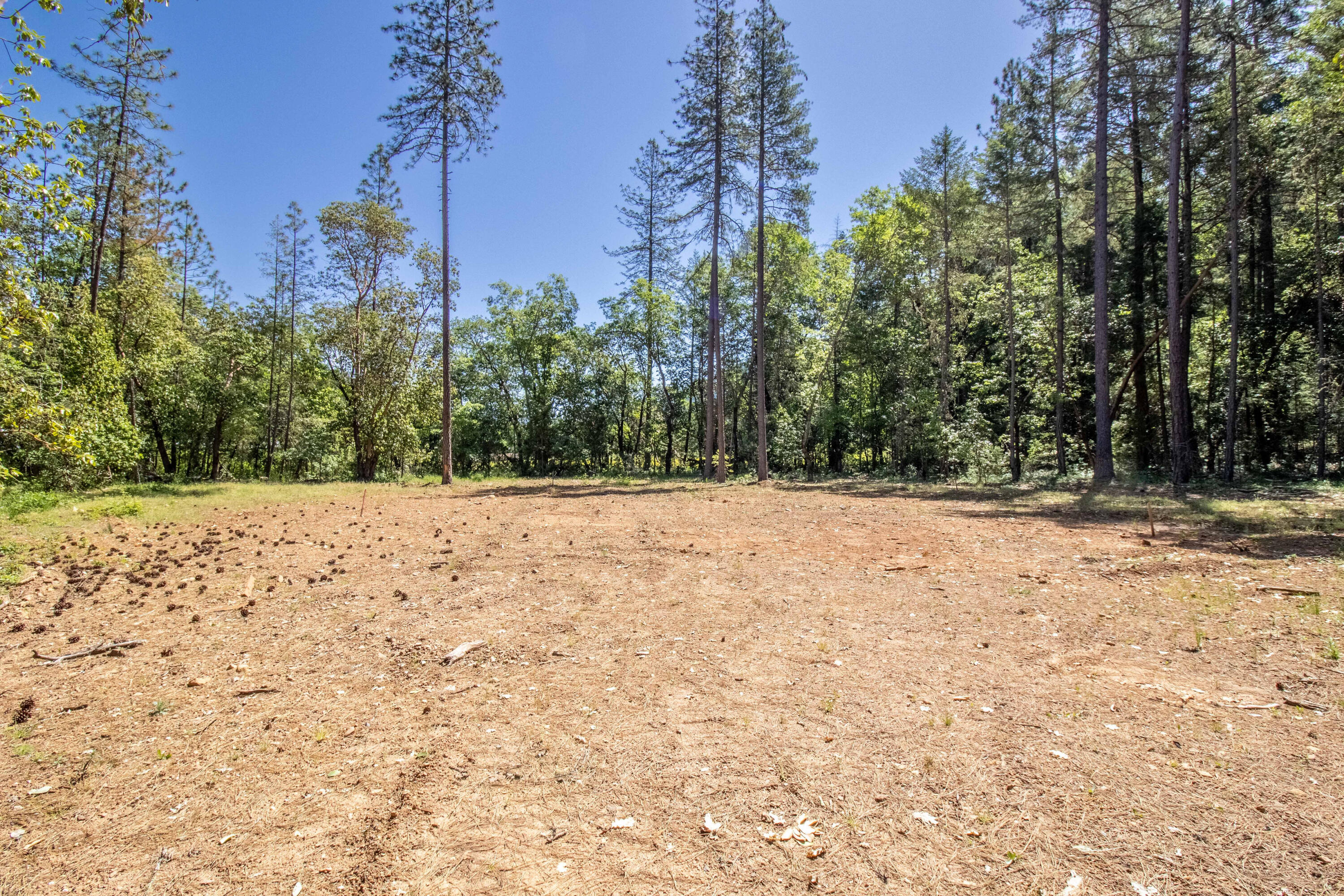 175 Ridge View Lane