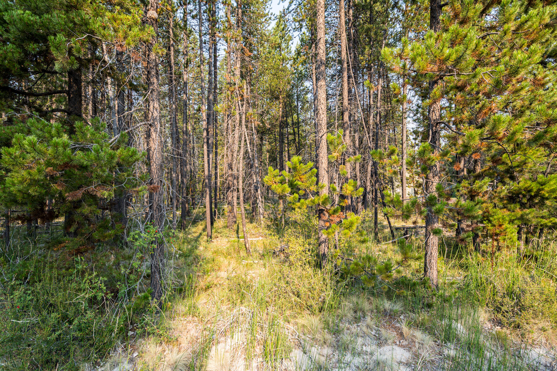 Deschutes River Recreation Homesites - Land