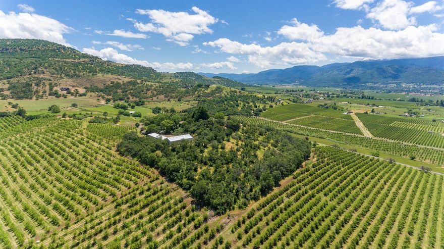 Looking for 55+ acres of rich, irrigated farmland w/incredible views? While working your acreage overlooking Fern Valley, you will be surrounded by tranquility, no matter which direction you face. From Mt. Ashland & Anderson Butte to the Payne Cliffs, you see it all. Looking out, you see miles of orchards, vineyards, & the surrounding Siskiyou Mountains. The property includes a large metal barn with loft for hay storage, potential horse stalls, 4 car detached garage, large carport, shed & dog run/kennel. It also has 2 additional measure 49 home sites; buyer to do own due diligence. The single story home w/in-ground pool sits atop a knoll overlooking the property's 39.4 TID irrigated acres. While some of the acreage is currently planted in pears, the land itself would cater to a wide array of farming options. If you're in search of a home or home site with views, irrigation & the possibility to grow the crop of your choice, this is it!