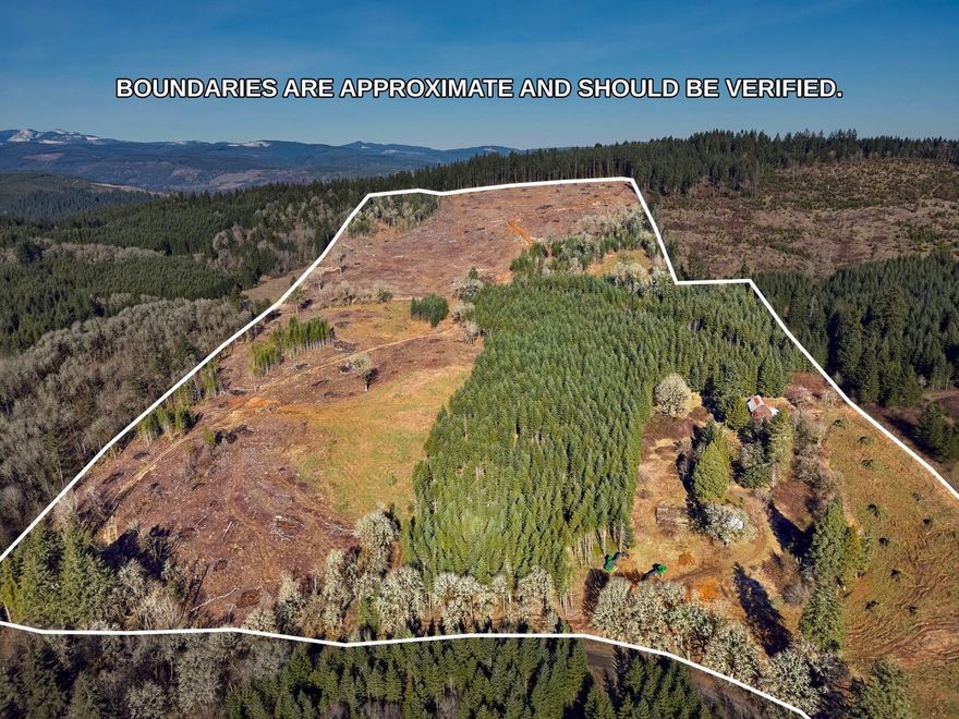 Nestled in the foot hills in the desirable Yamhill County a beautiful 85.27 +/- acre contained on two tax lots. Both tax lots have access to NW Ford Rd. This property has approximately 13 acers of 30-year-old timber, 10 acers of 17-year-old timber and 25 acers of newly planted saplings. Included in this purchase is a home site with a home standing which could be renovated or used as a replacement dwelling for a home of your dreams. There may be potential for a vineyard as there are south slopes that might contain Jory soils along with a classic time period barn and several areas for potential productive gardens. The timbered portion of the property was well managed. Consulting with a timber professional, verifying when to harvest the 30-year-old Douglas fir, and when the additional timber be should harvested. It is presumed that a replacement dwelling is allowed, but the Buyer will need to do their own due diligence with the county.