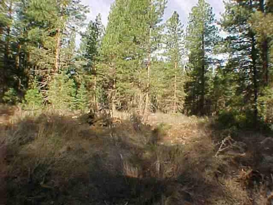 L-410 One Acre In Mountain Lakes Homesites. Close To Lake Of The Woods, Recreational Trails, Area Of Hunting And Fishing. Nice Lot In A Platted Subdivision. Mature Trees.