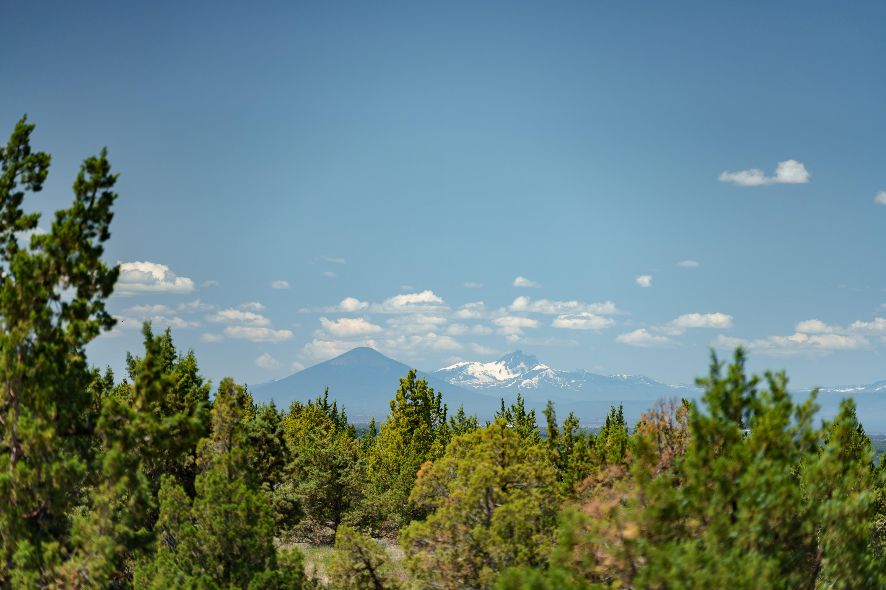 Mtn View Estate - Residential