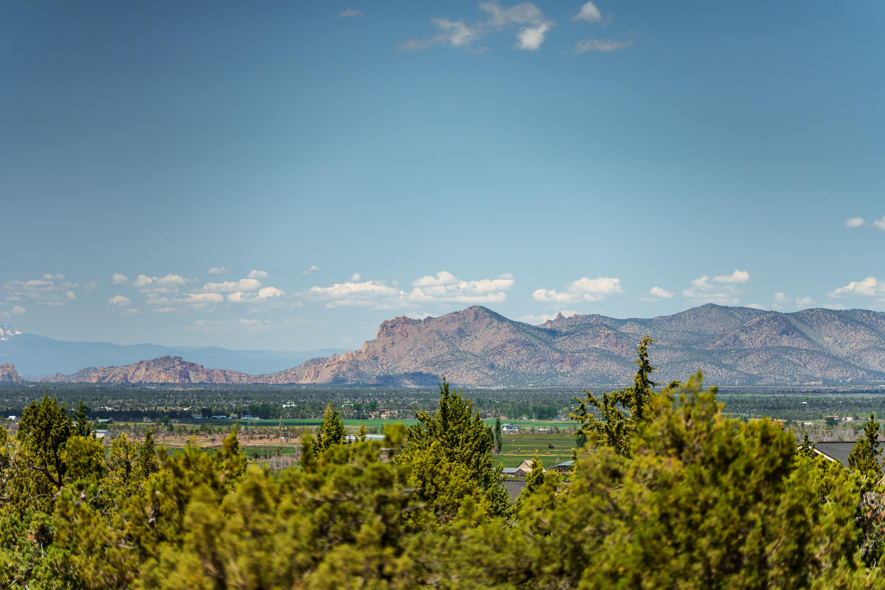 Mtn View Estate - Residential