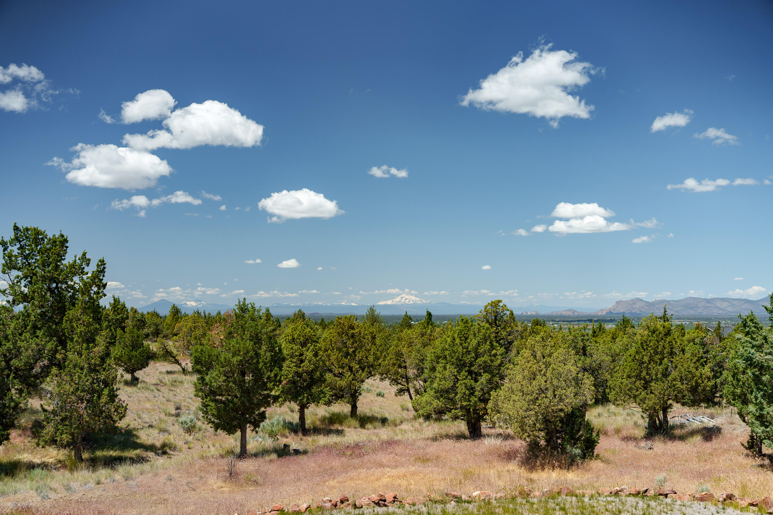 Mtn View Estate - Residential