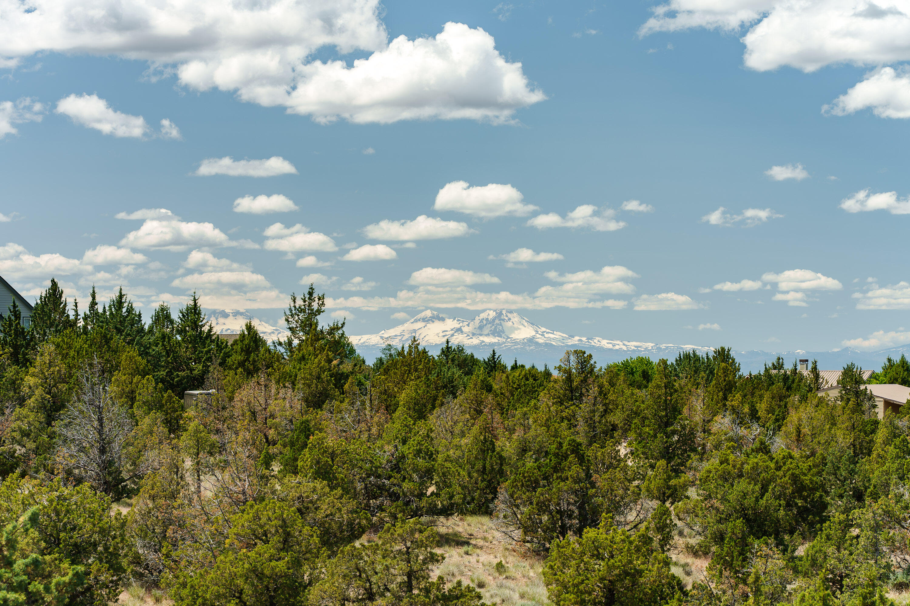 Mtn View Estate - Residential