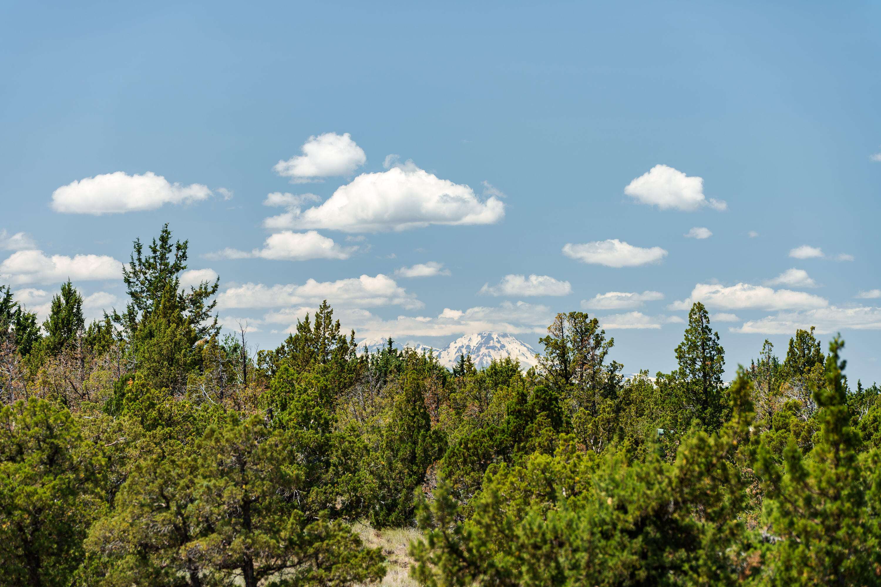 Mtn View Estate - Residential