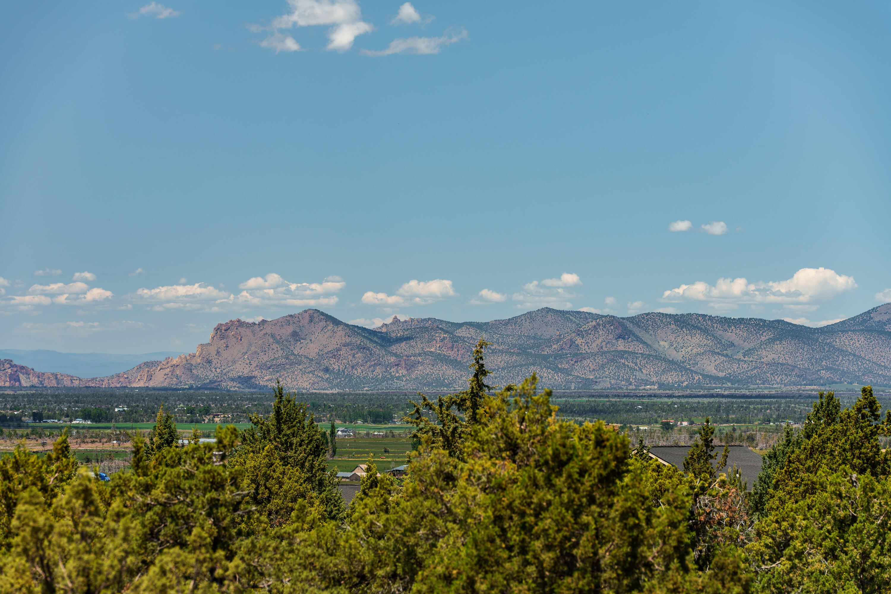 Mtn View Estate - Residential