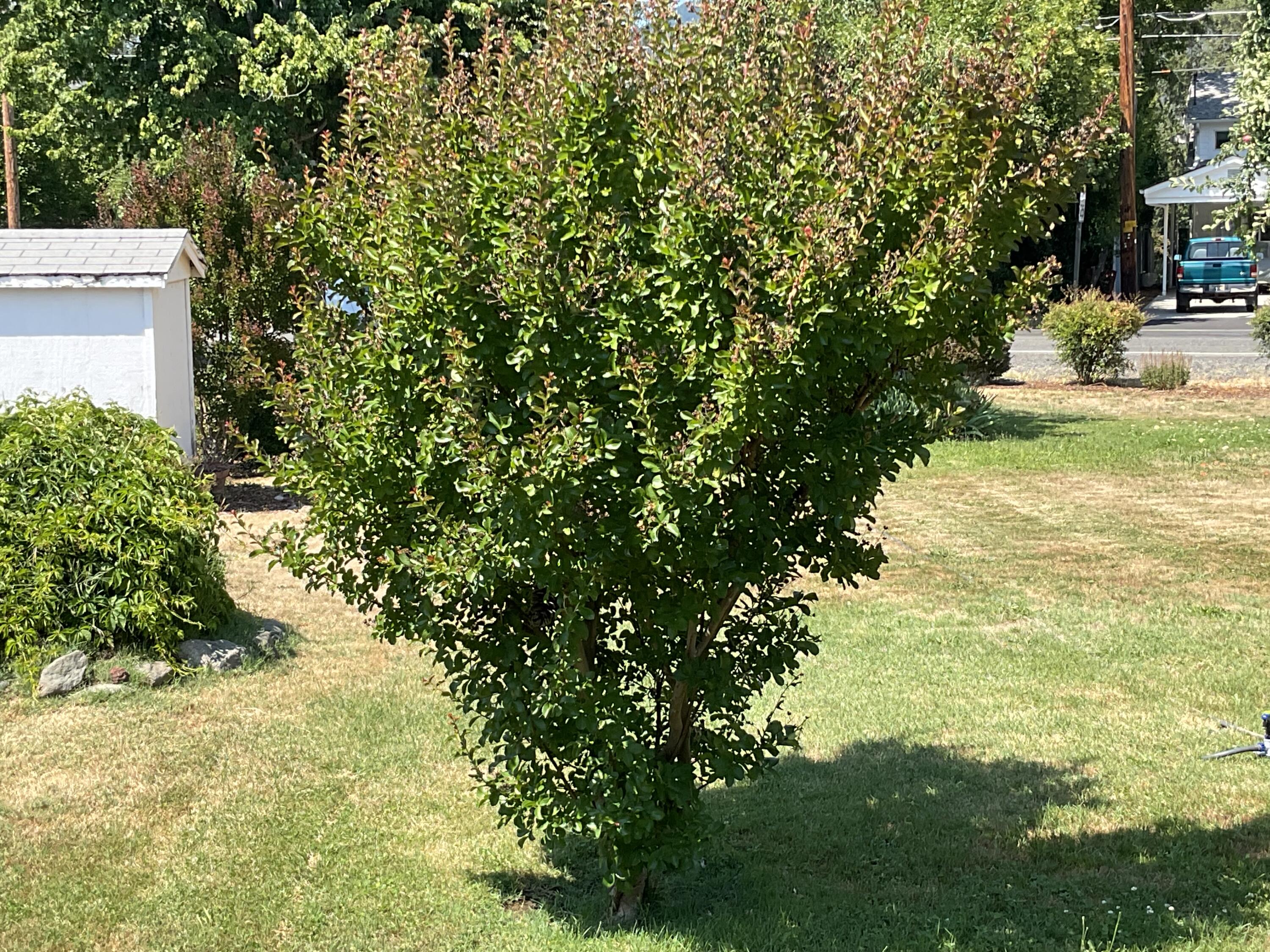 Park East Subdivision - Residential