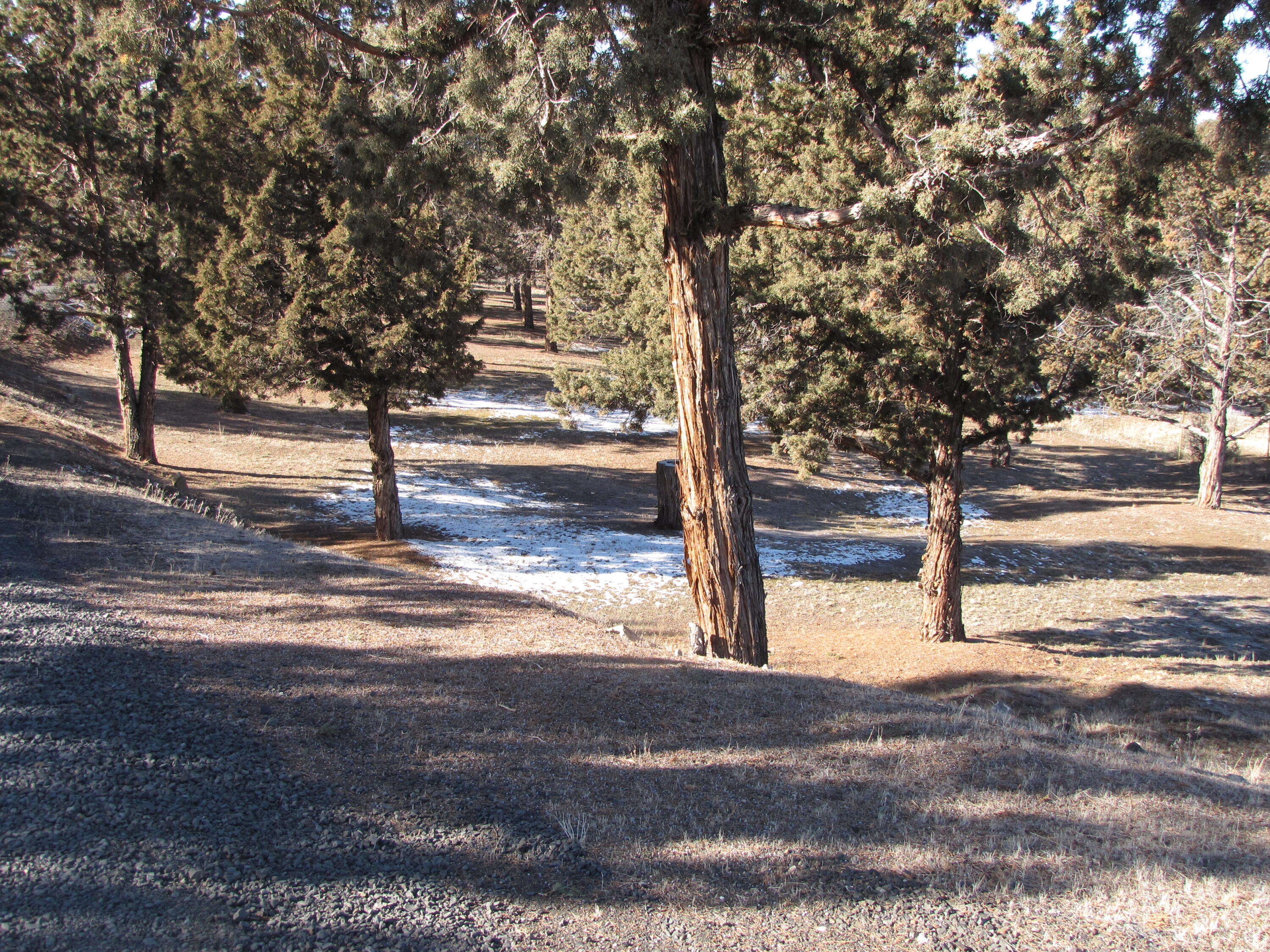 High Desert Estate - Residential