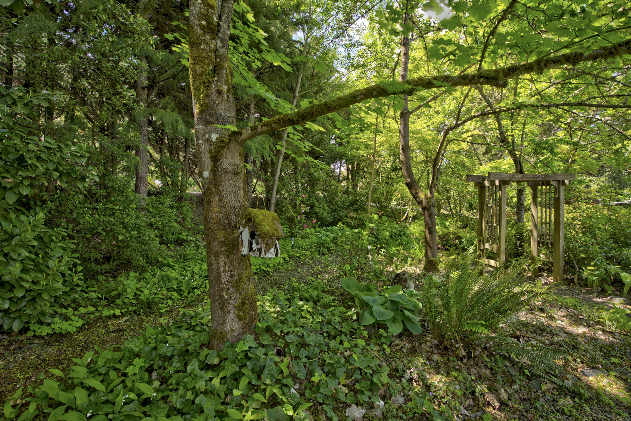 Del Rogue Tracts - Residential