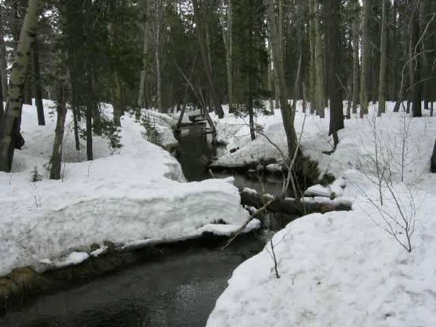 Beautiful & Hard To Find 5 Acre Parcel In Scott Creek Ranches With Scott Creek Running Through The Propterty! Power At The Rear Of Property For Hook-up. Lots Of Tall Pines & Level Lot. Must Have 4 Wheel Drive To Access! Accessible Year 'round.