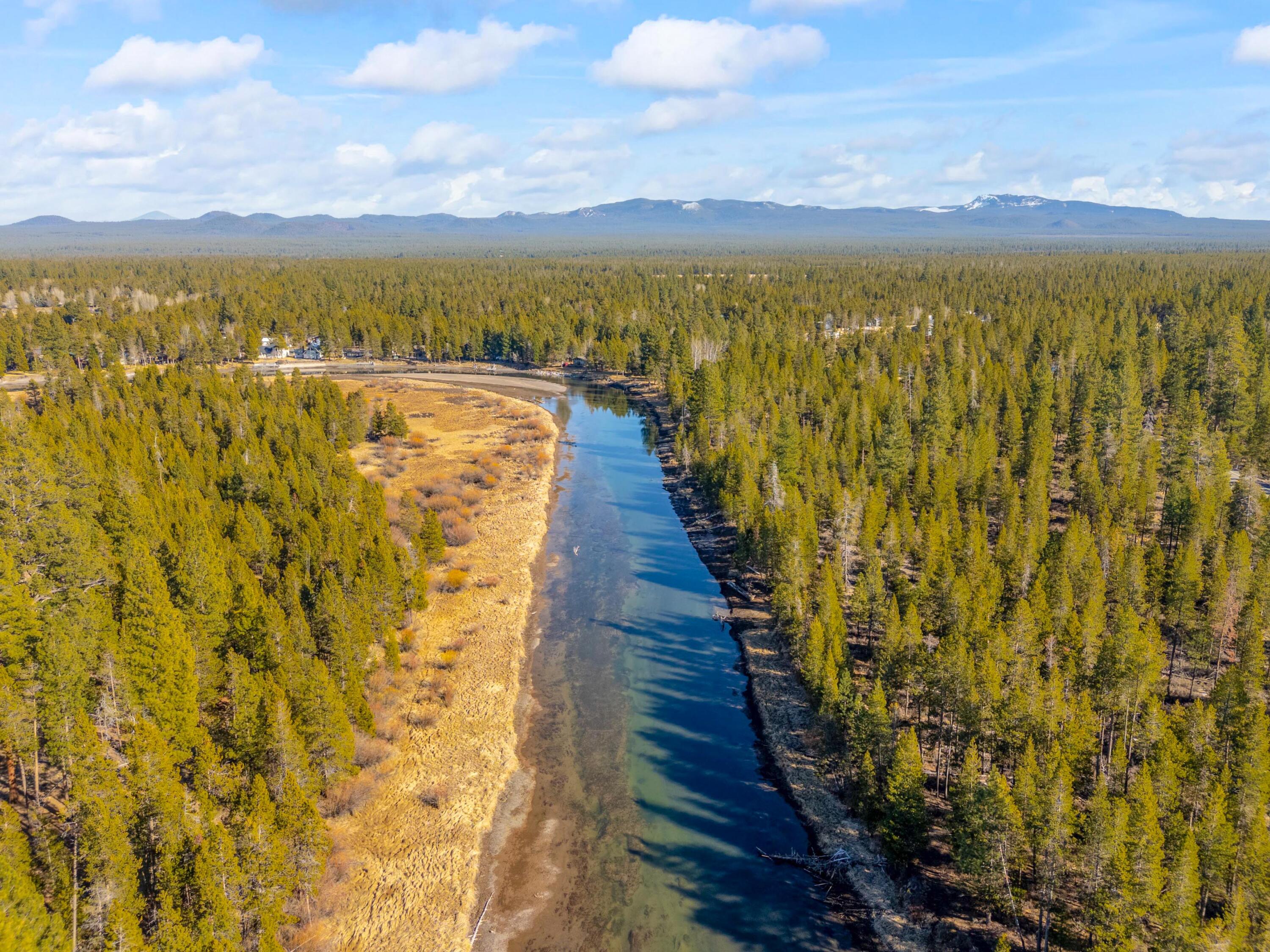 55595 Wagon Master Way