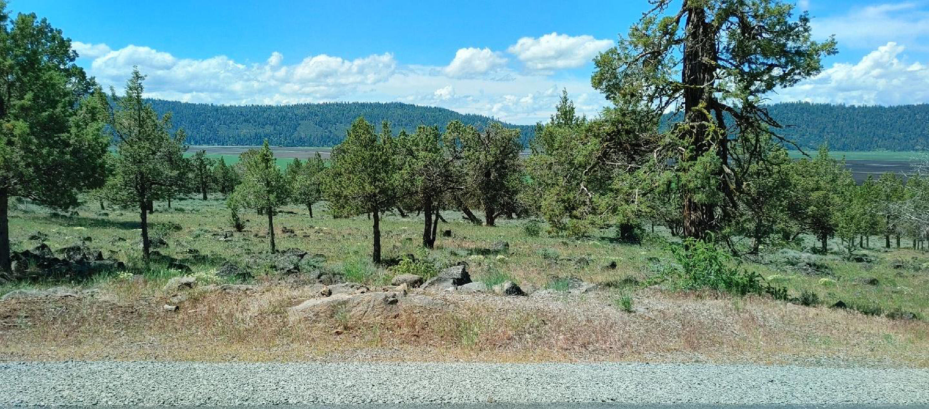 Running YResort - Land