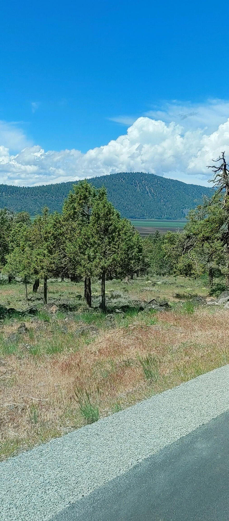 Running YResort - Land