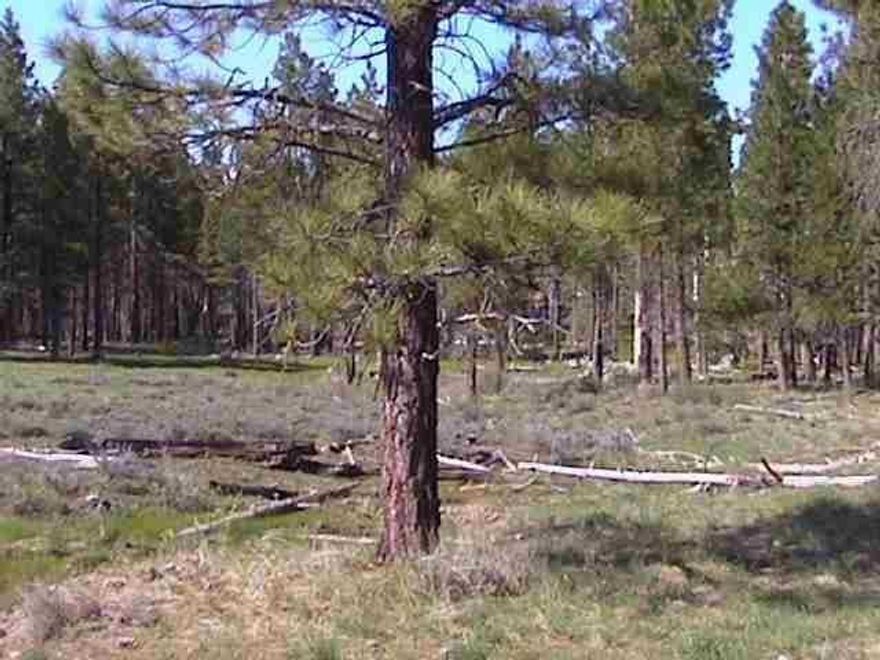 Approximately 20 Acres In A Serene Setting. Wonderful Place To Build. Gorgeous, With Meadows And Trees, Secluded And Remote. Must See To Appreciate. Owner Will Carry With Reasonable Down.