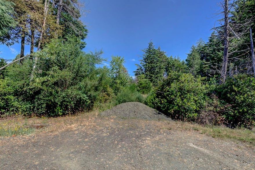 Investor or builder's dream. Build a stick home or put a manufactured home on these large lots. Mostly buildable and flat terrain, most of these lots need to be cleared. Several lots for sale, call for more information. May do a better deal for group packages. Pictures are of all the lots on Daisy Lane, may not be the exact location, the terrain is similar throughout.