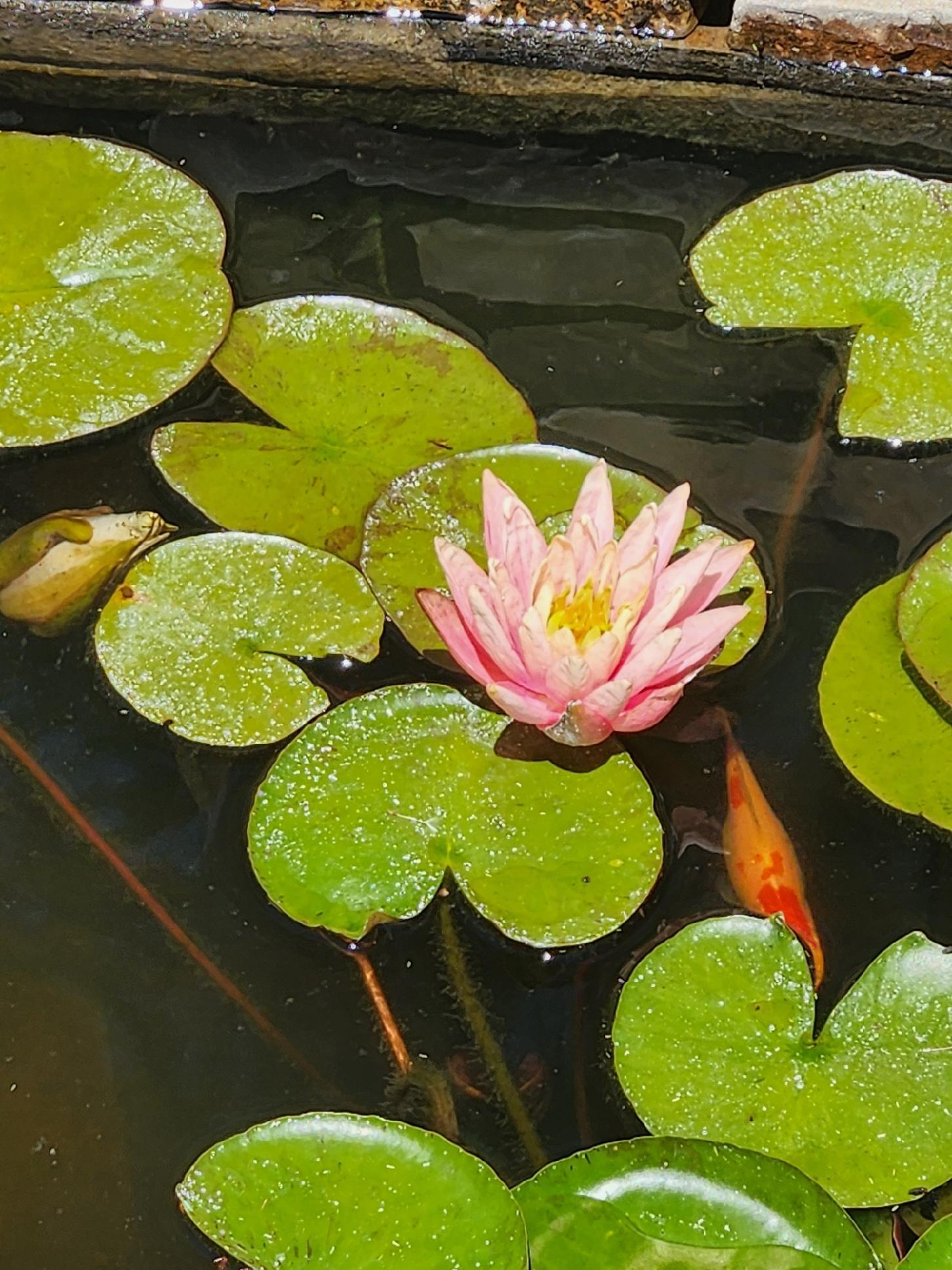 Cl+D Ranch Tracts - Residential