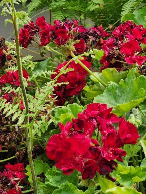 Tiny photo for 15924 Jackpine Road, La Pine, OR 97739 (MLS # 220212534)