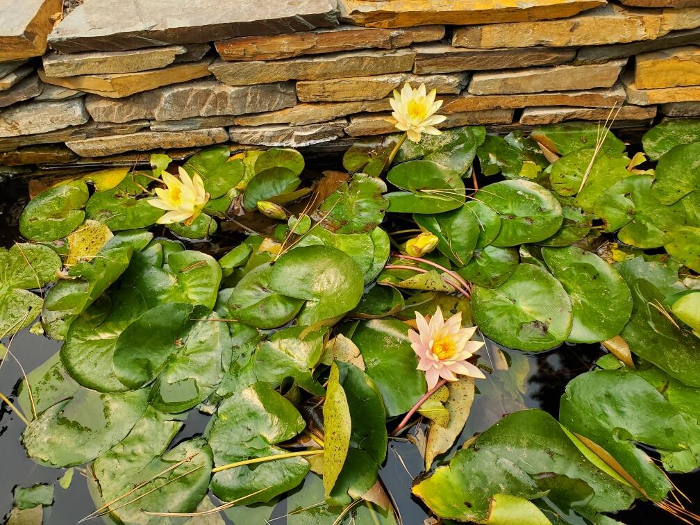 Cl+D Ranch Tracts - Residential