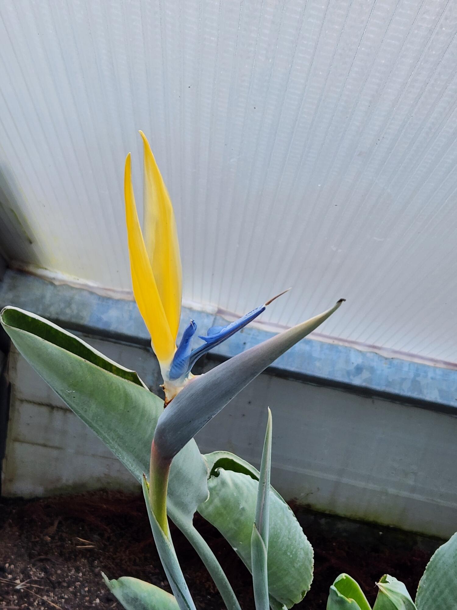 Cl+D Ranch Tracts - Residential