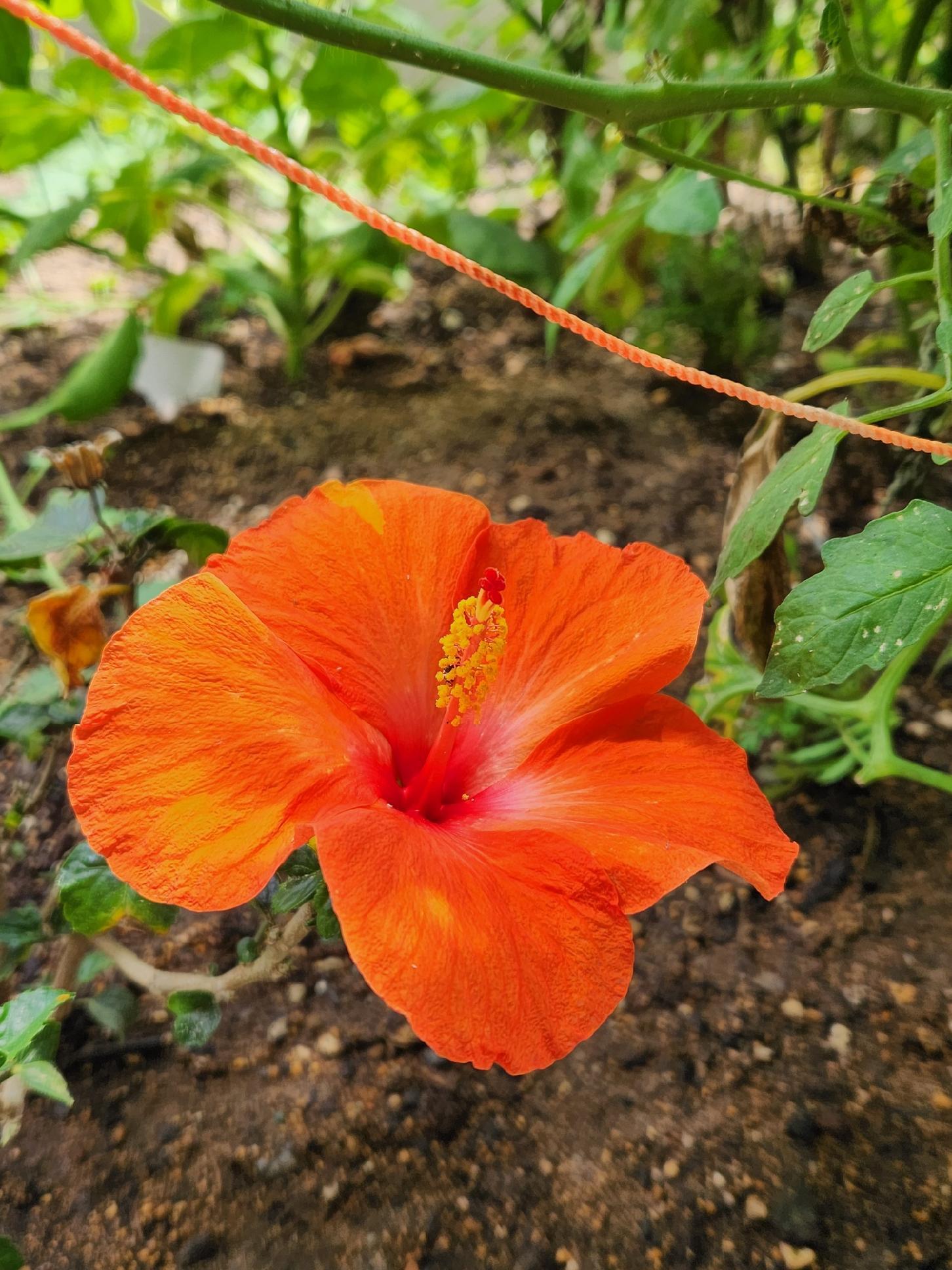 Cl+D Ranch Tracts - Residential