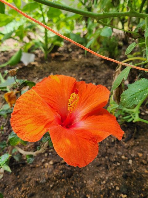 Tiny photo for 15924 Jackpine Road, La Pine, OR 97739 (MLS # 220212534)