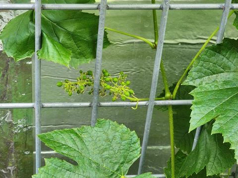 Tiny photo for 15924 Jackpine Road, La Pine, OR 97739 (MLS # 220212534)