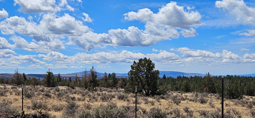 Don't miss this rare opportunity to own 5 breathtaking acres of raw land, perfect for building your future home or private retreat. This beautiful parcel offers expansive, panoramic views and a nicely treed landscape that provides both natural beauty and privacy. A major bonus: this property is located directly across the street from 640 acres of State land - ideal for outdoor enthusiasts looking to explore, hike, or simply enjoy wide open space. Nestled in the desirable Ochoco Land & Livestock area with no HOA, you'll enjoy freedom and flexibility to bring your vision to life. Whether you're dreaming of a weekend getaway or your forever home, this land offers the space and setting to make it happen!