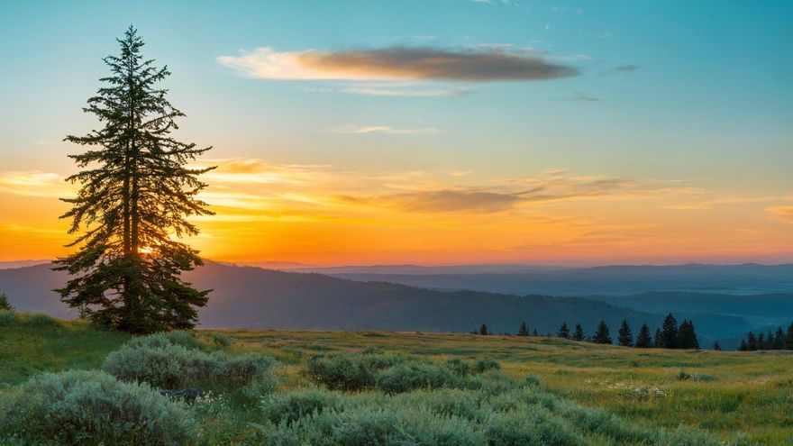 ''This property, located just a short drive from the
 beautiful town of Bly, on an established and partially paved forest service road, is the
 perfect blank slate to build your dream with incredible views of the surrounding wilderness.
 	Much of the land has already been cleared of trees, making it a great opportunity to use for
 
animal pastures, solar fields, or crops, and offering a natural barrier from wildfires, while
 
the northern 160 acres offers dense trees for shade and wind blockage. Despite being zoned
 
forestry, this land exceeds the minimum acreage criteria for it be eligible for many different
 
uses, including destination hotels, RV parks, Agricultural, and industrial uses, and with the
 
proper documentation, it can be built on and developed. Buyer to do own due diligence to
 
establish the right to build.''