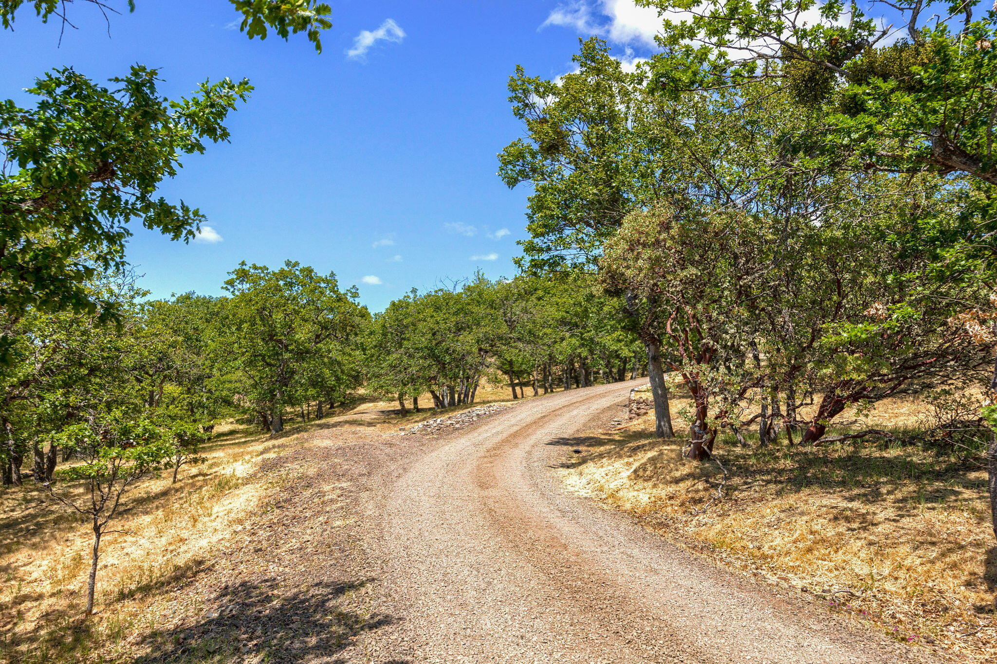 Eleven-eighty Orchard Tract - Residential