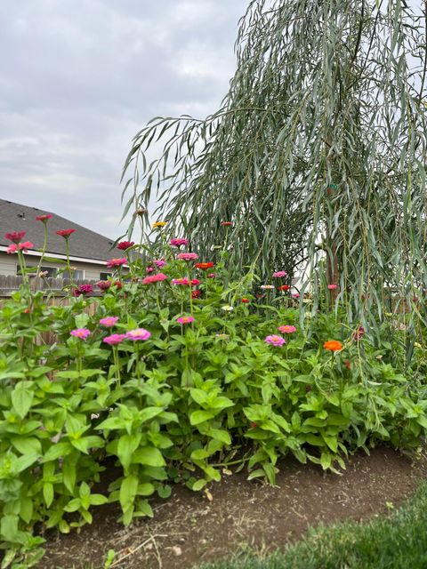 Tiny photo for 335 NW Par Avenue, Madras, OR 97741 (MLS # 220213121)