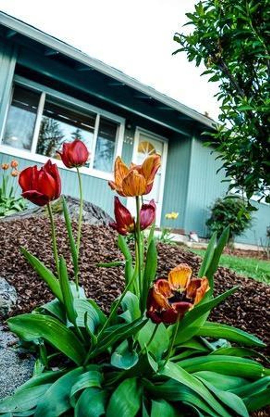 Lovingly maintained large home in established neighborhood with recent large addition. Updates include new kitchen, paint, trim, pergo flooring, windows and stainless appliances. This beautiful, spacious home boasts over 2370 sqft, vaulted family room, tall ceilings in both office/den and large master bedroom, deck and fully fenced yard. Must see inside as it shows very nicely. Light and bright with flowing layout , a beautiful place to call home.