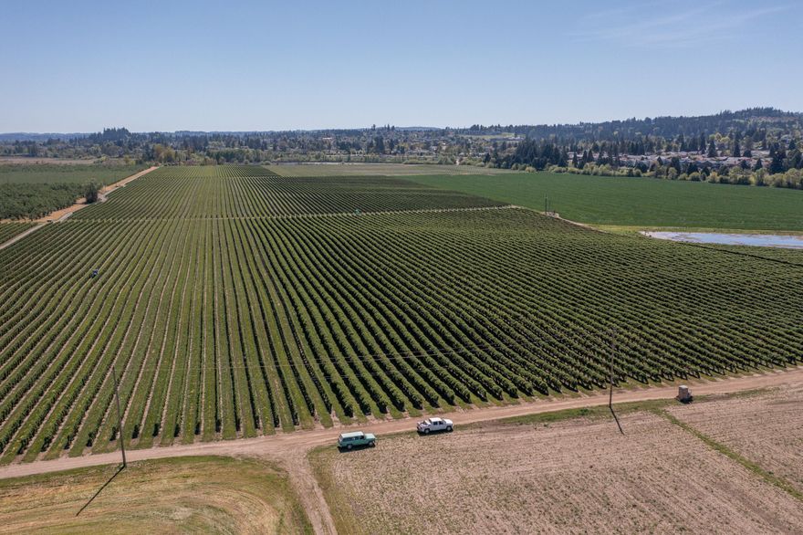 This 445-acre Willamette Riverfront Farm offers 381 tillable acres with top-tier soils and double-covered water rights, making it ideal for blueberries, hazelnuts, row crops, or any high-value agriculture. Strategically located in the path of progress, a significant portion of this farm presents a generational opportunity for absorption into the City of Salem Urban Growth Boundary.  This is a rare opportunity to purchase a productive farm with the rare opportunity to expand future generational wealth. This unique farm comes in two separate blocks that have distinctly different opportunities.  Both have top tier soils and excellent water rights.