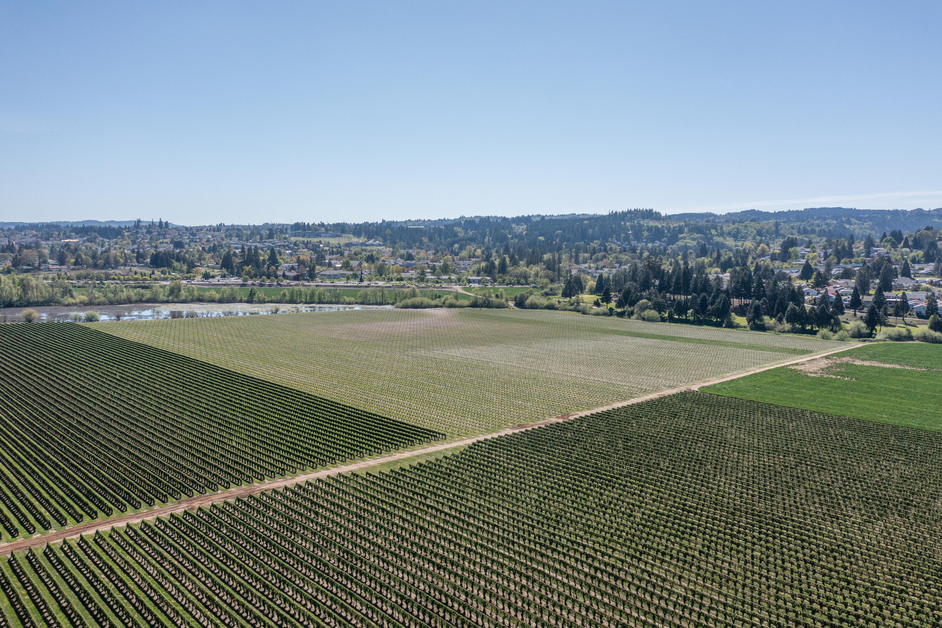 3372 River Bend Road