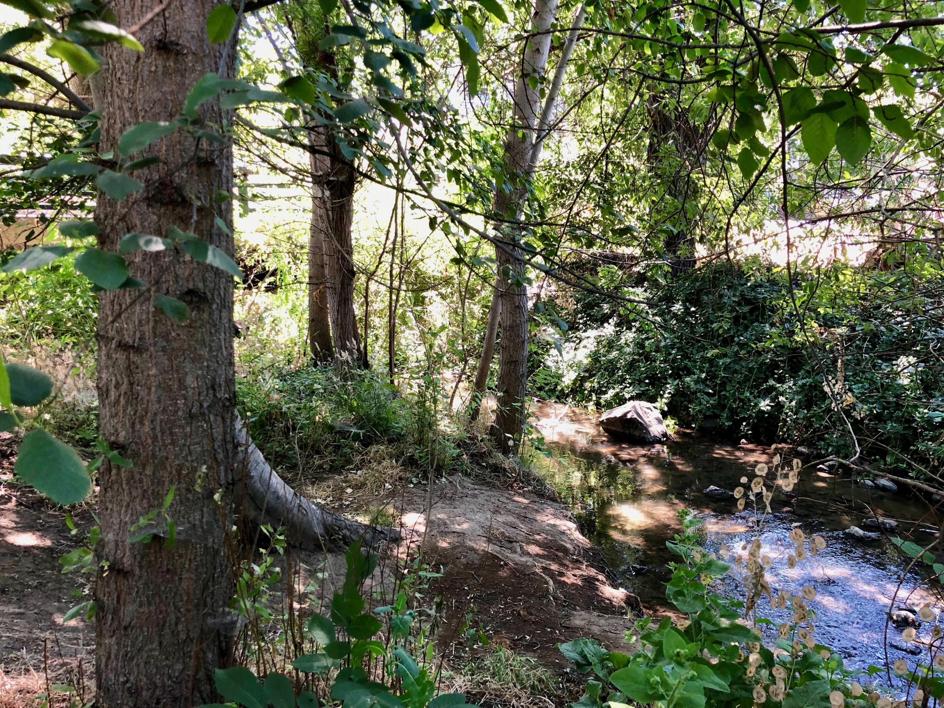 Old Bridge Village - Land