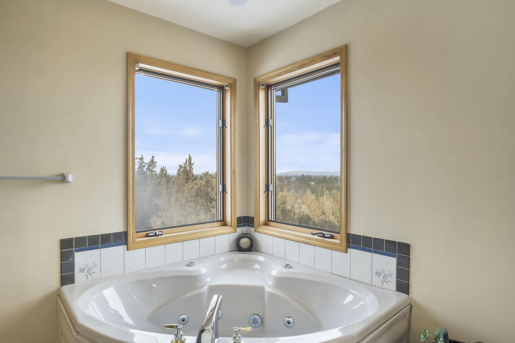 Wyndemere - Residential