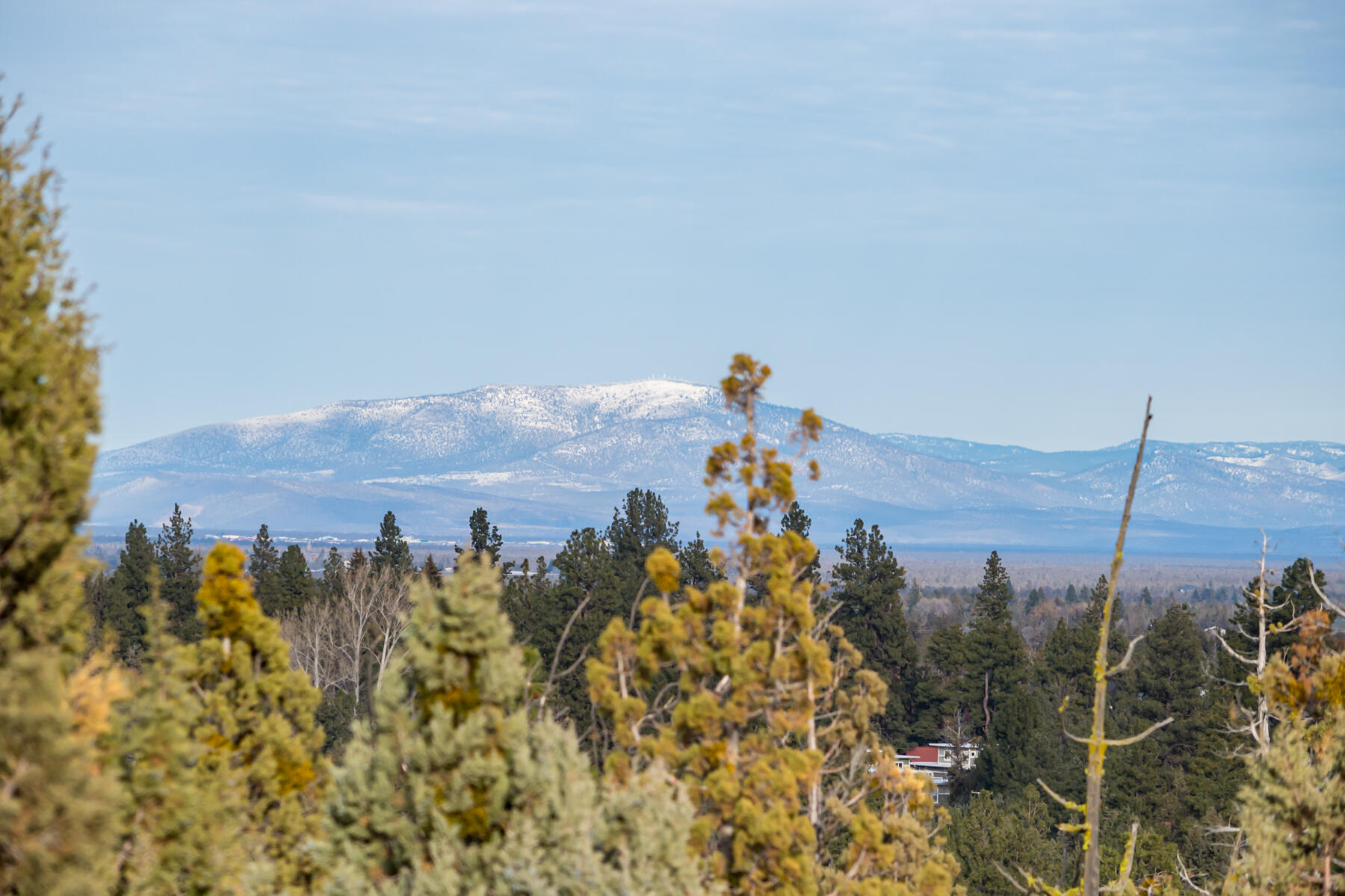 Wyndemere - Residential