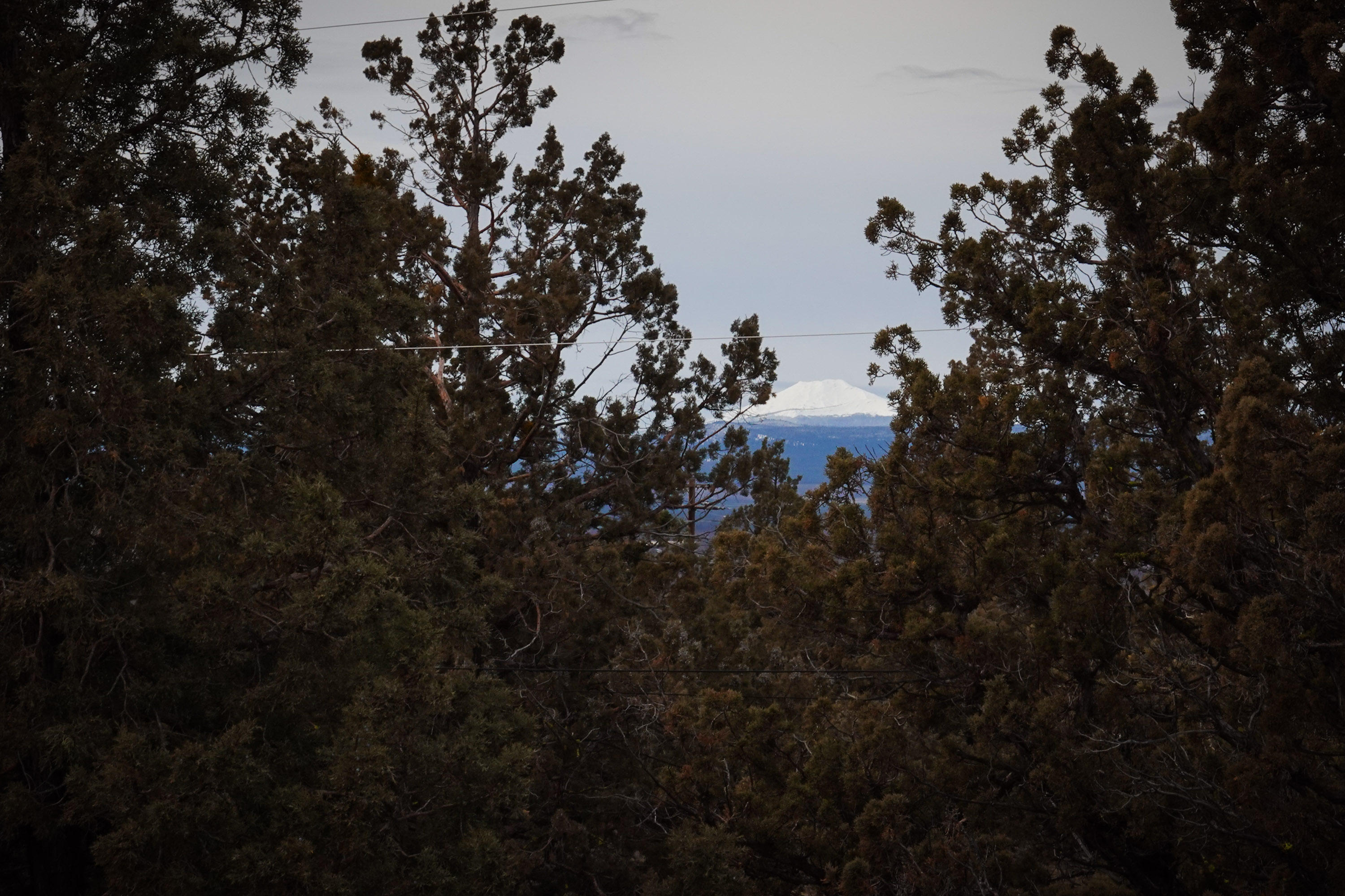 Whispering Pines - Residential