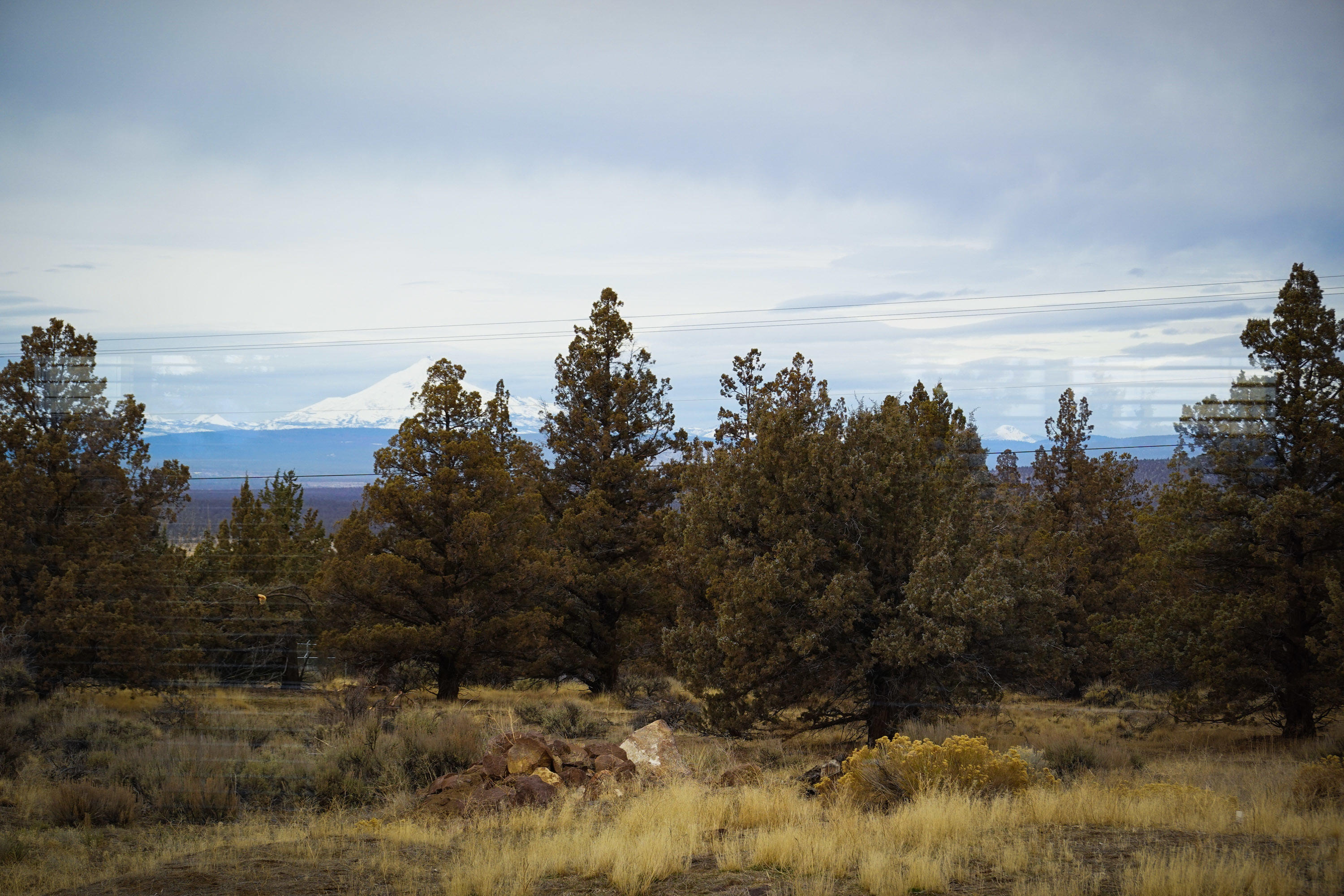 Whispering Pines - Residential