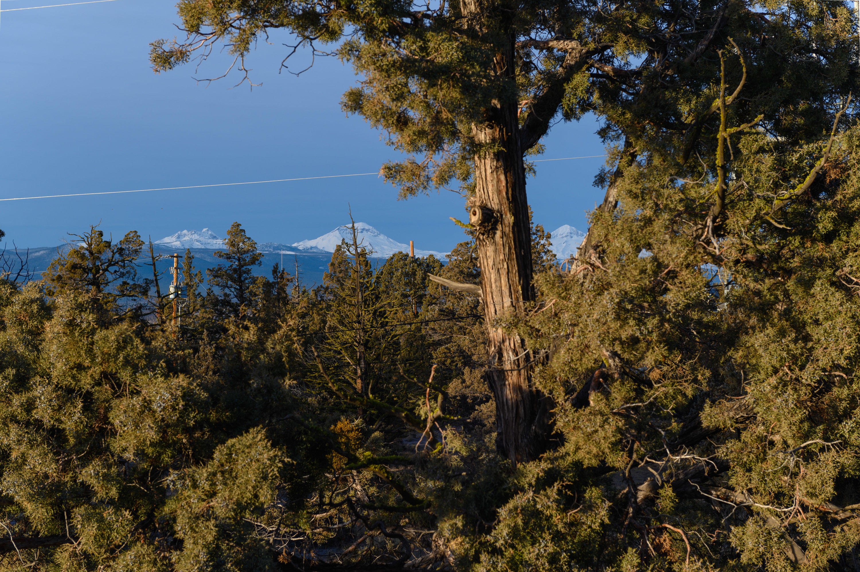 Whispering Pines - Residential