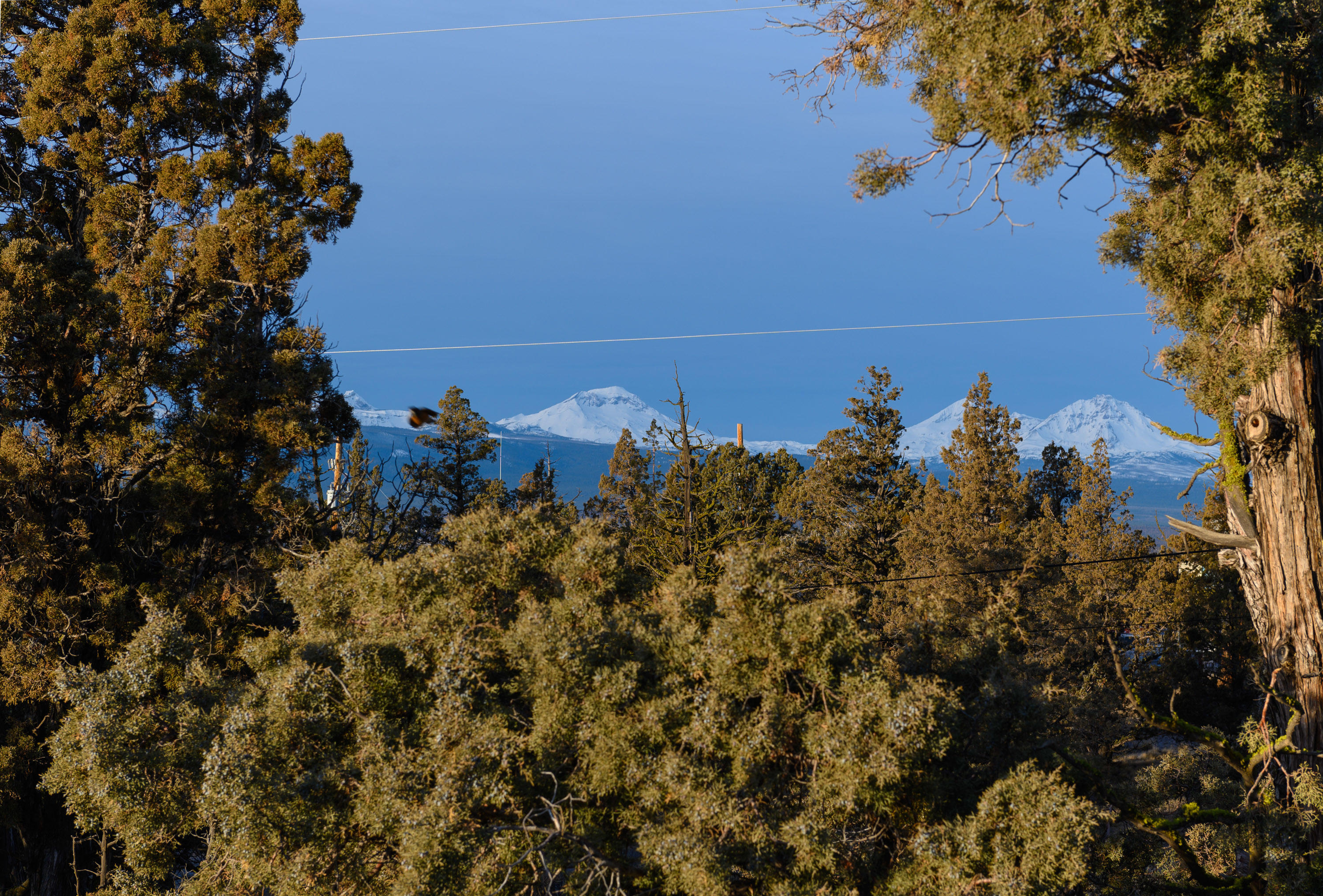 Whispering Pines - Residential