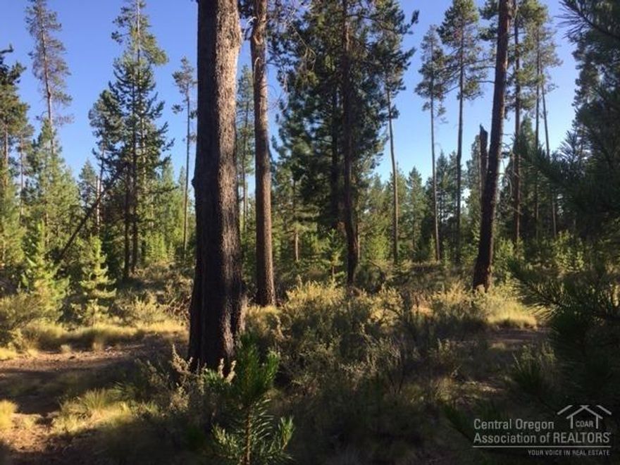 Beautiful half acre level lot to build your dream home. Property backs to National Forest land with walking trails. OWW2 owners enjoy private access to the community park and marina with boat ramp & dock on the Deschutes River. Water meter and back flow installed on property, sewer and electric at street. Adjacent lot is also on the market. Prime location for all that Central Oregon has to offer, just a short drive to the Cascade High Lakes and Mt. Bachelor.