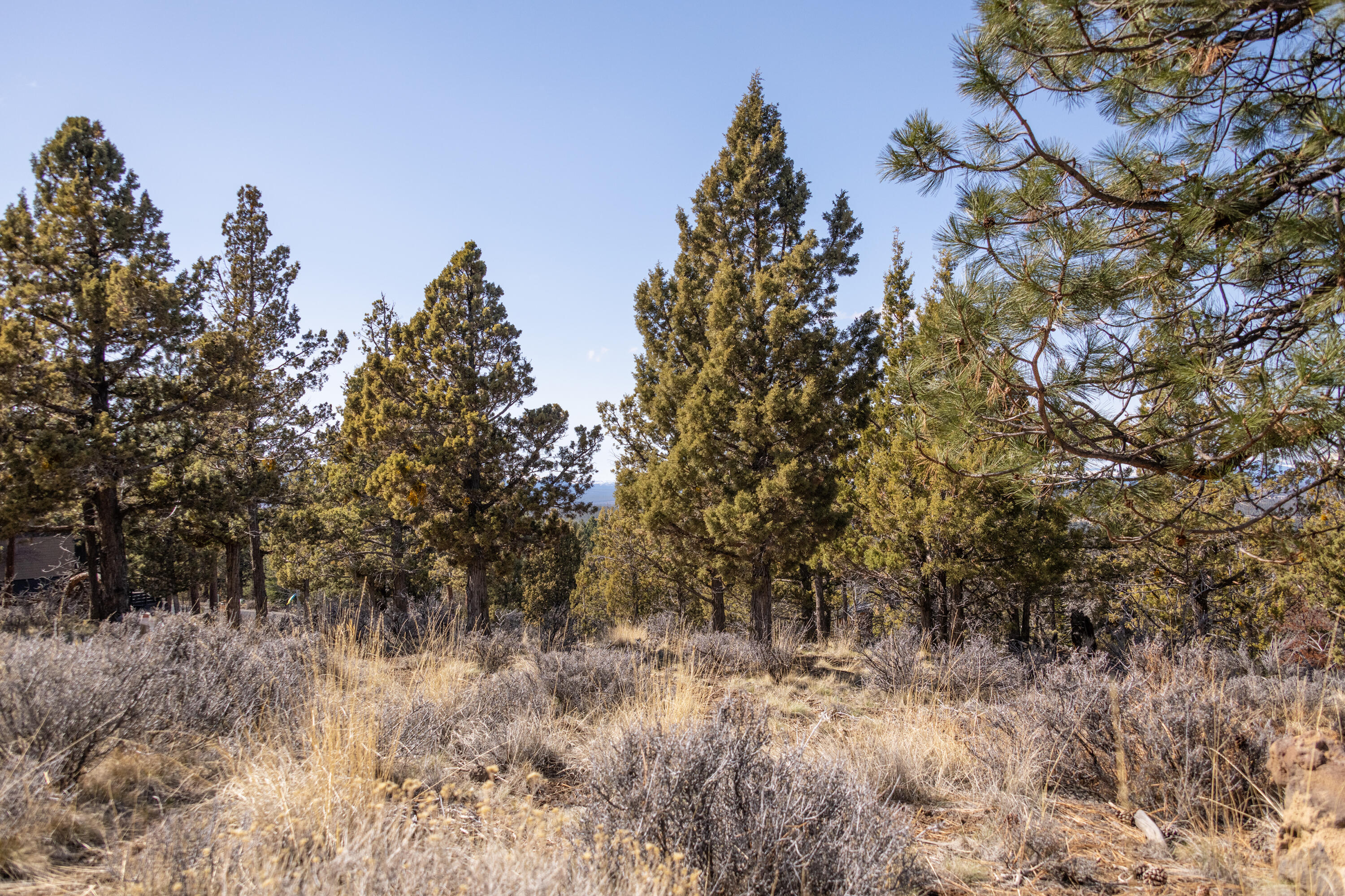 Awbrey Butte - Land