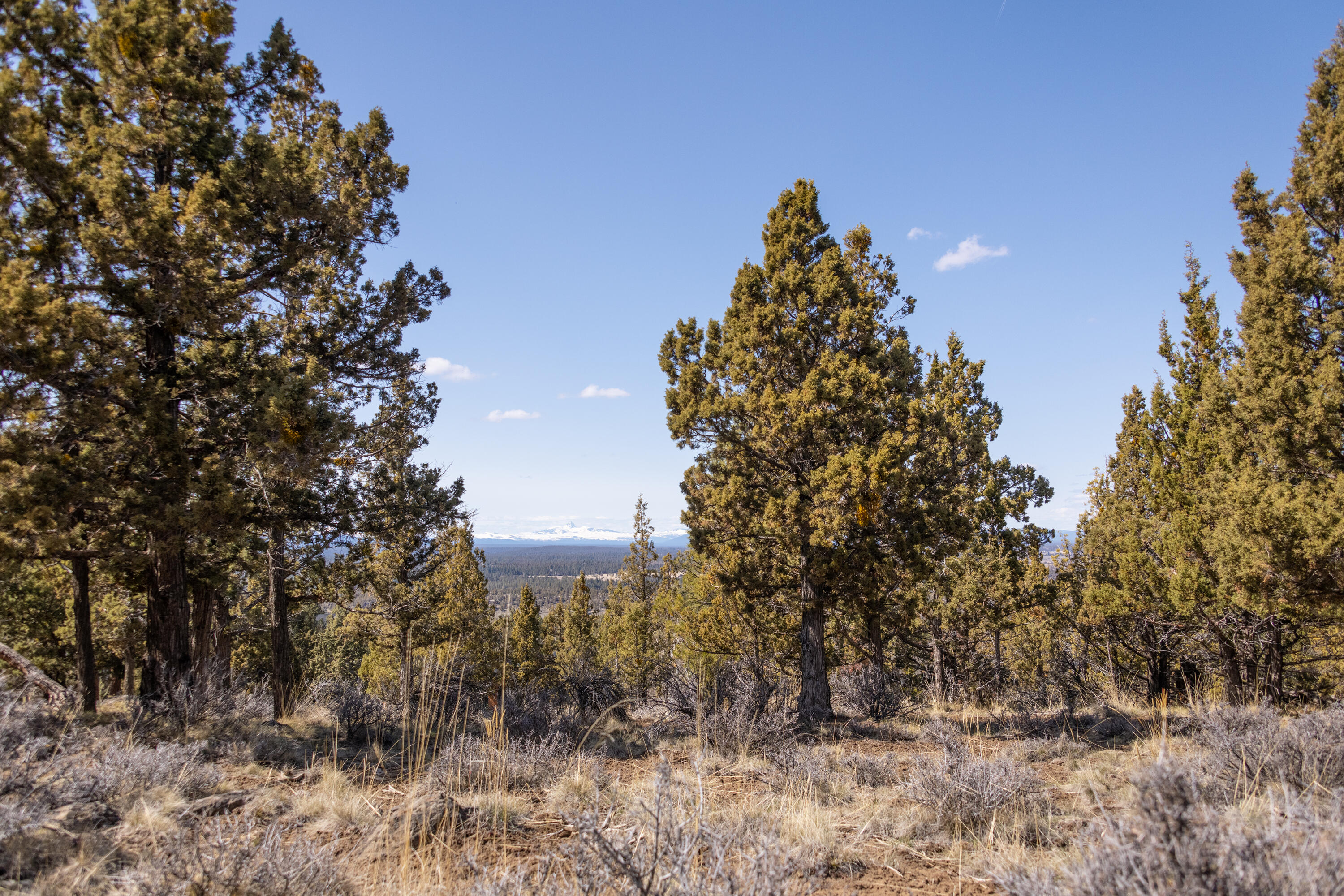 Awbrey Butte - Land