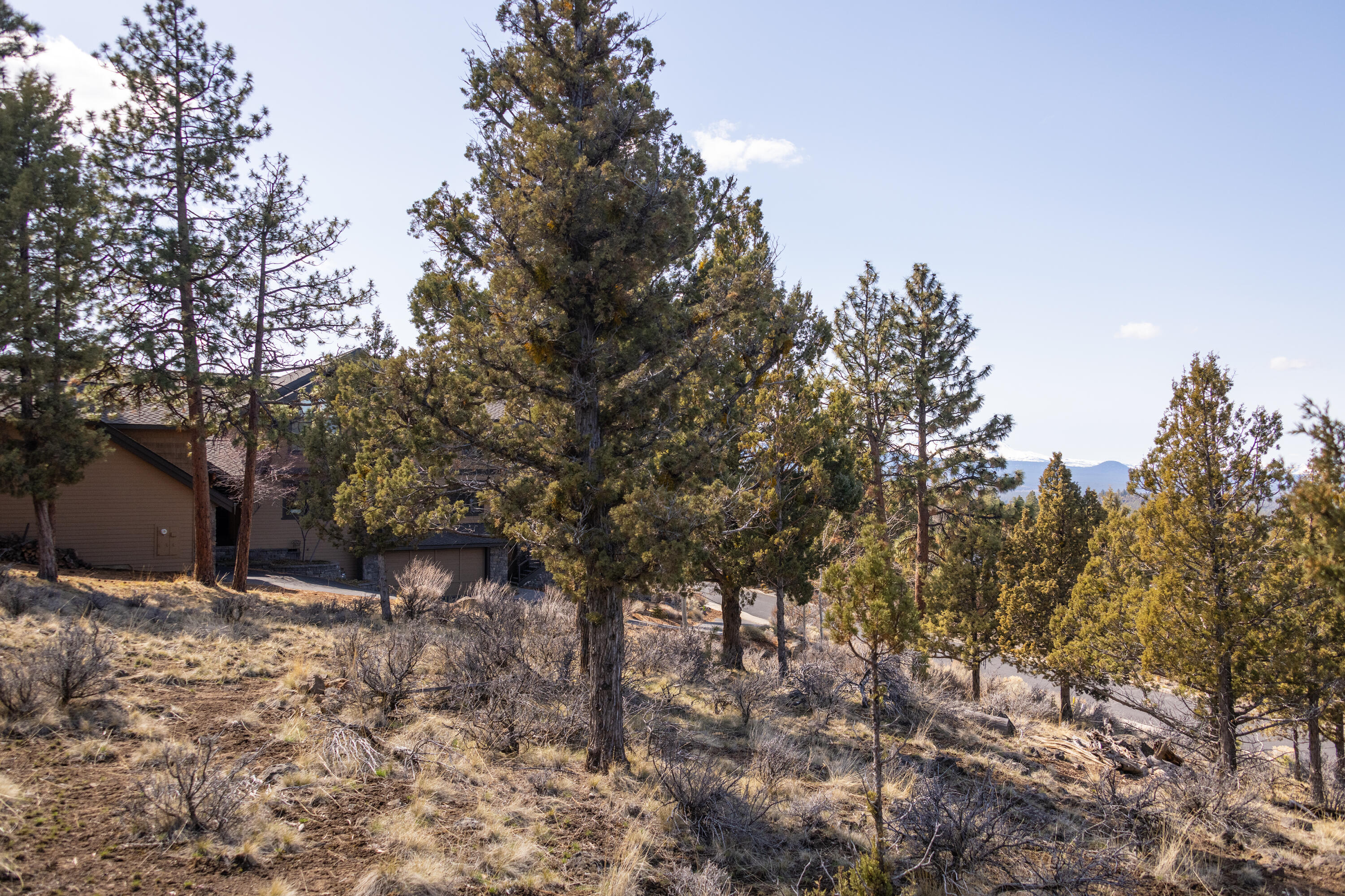 Awbrey Butte - Land