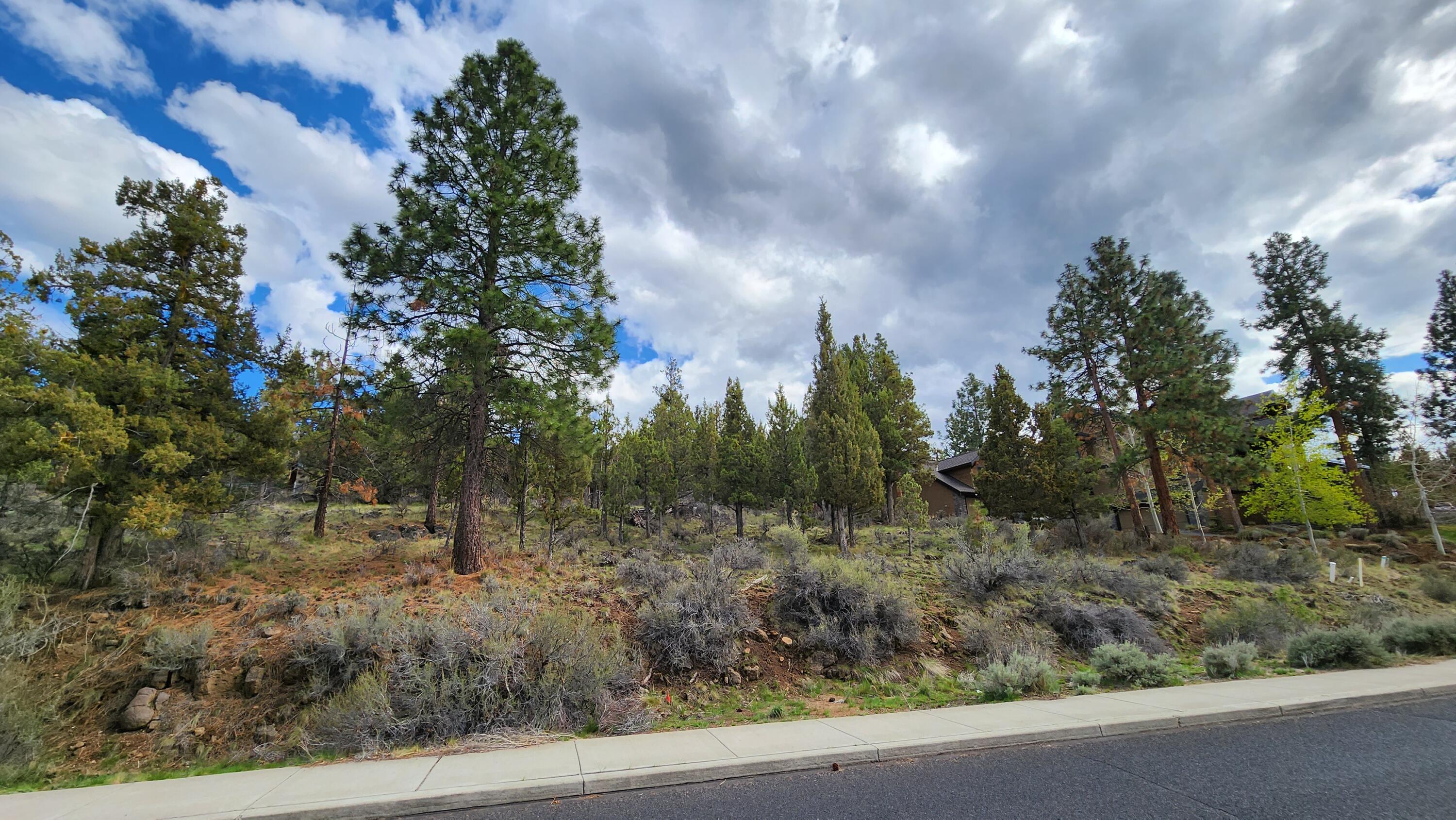 Awbrey Butte - Land