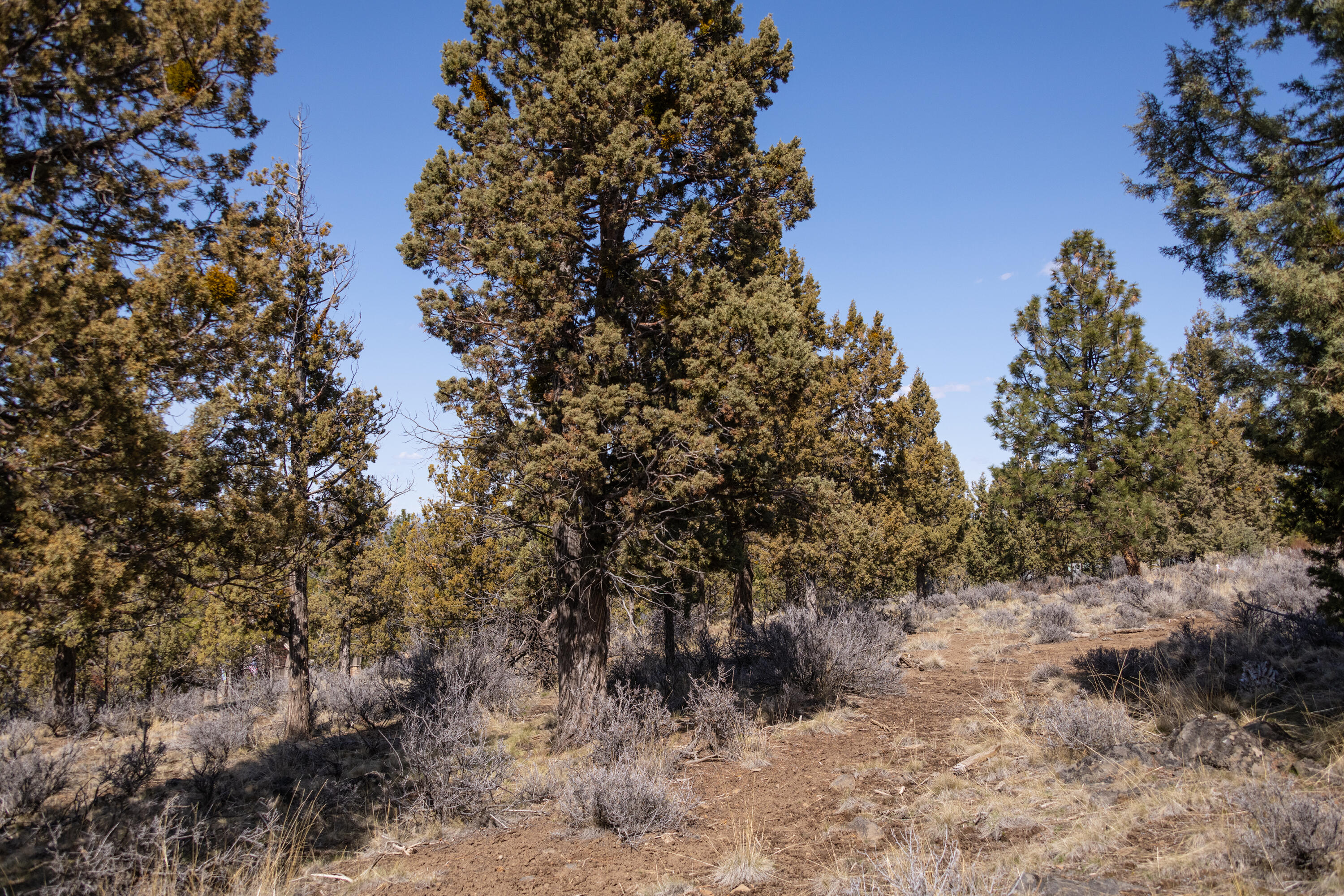 Awbrey Butte - Land