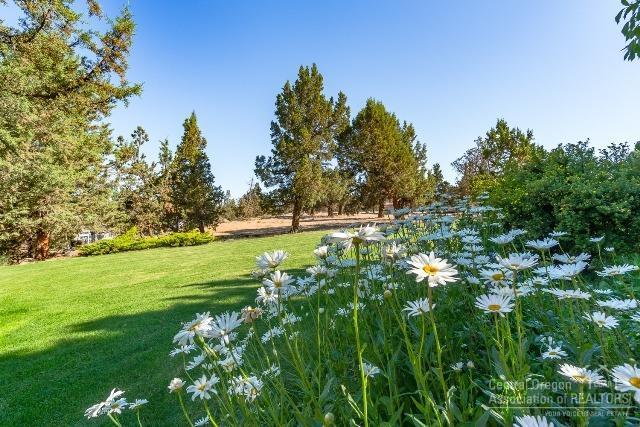 Whispering Pines - Residential