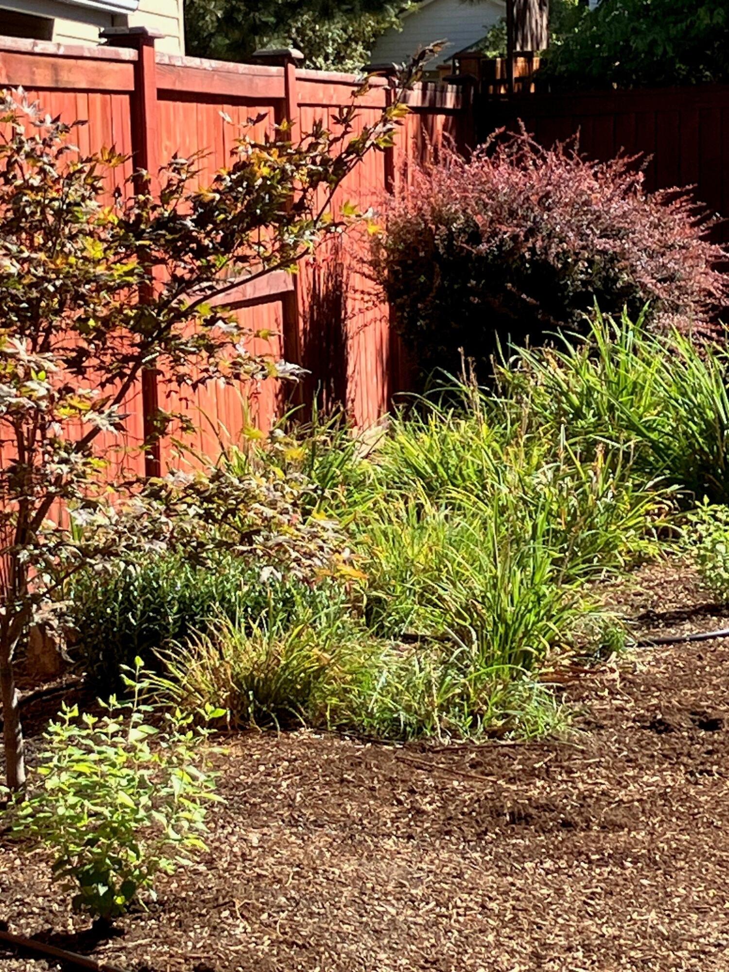 Elkhorn Ridge - Residential