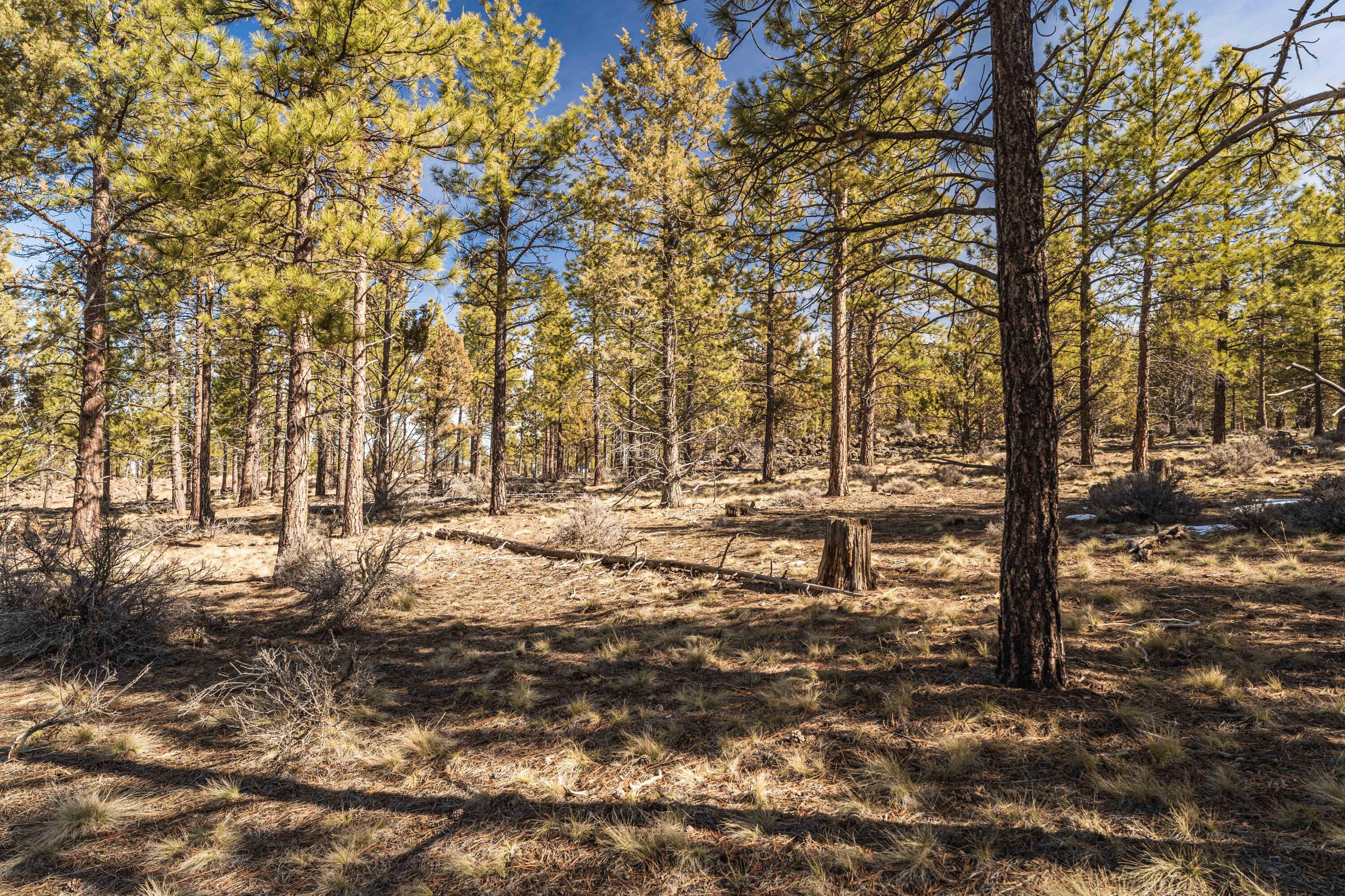Skyline Ranch - Land